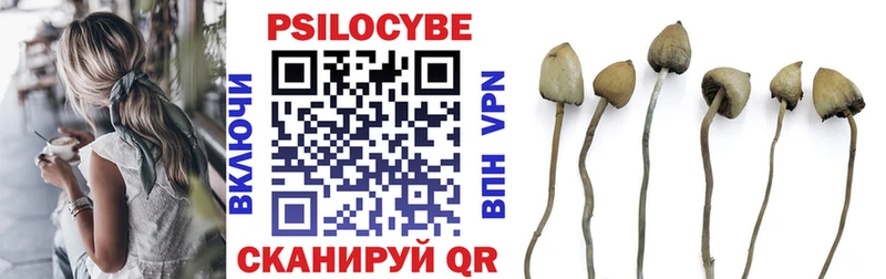 Галлюциногенные грибы Psilocybe даркнет клад Лабытнанги